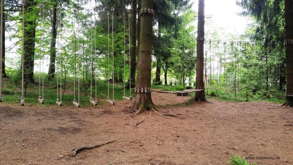 גוסלר App 507 Bocksbergblick Im Ferienpark Hahnenklee Haus 1 מראה חיצוני תמונה